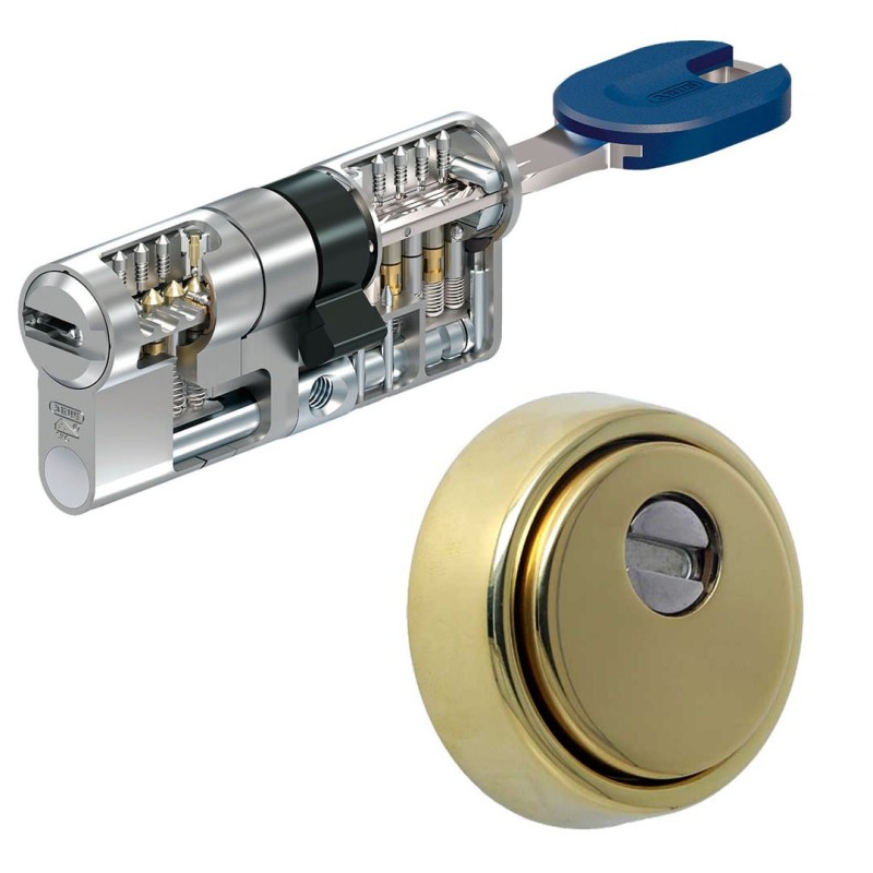 PACK DISEC BD280 Gold Shield + ABUS BRAVUS Magnet PRO cylinder